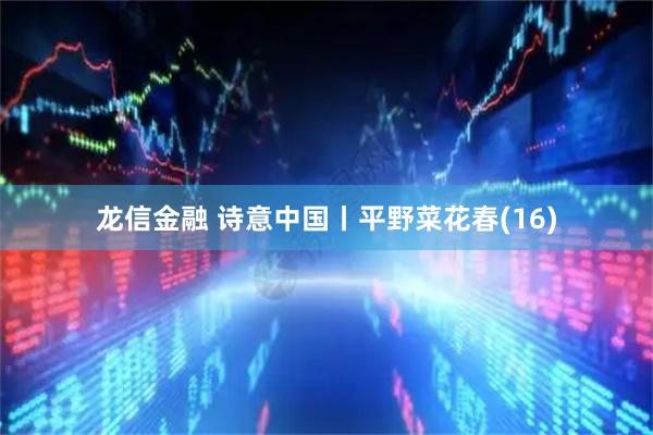 龙信金融 诗意中国丨平野菜花春(16)
