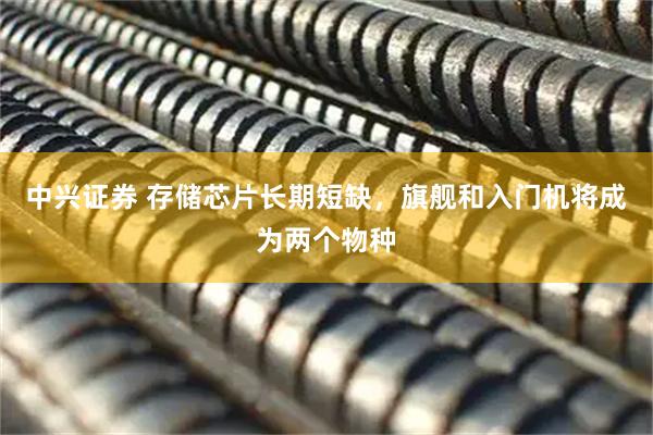 中兴证券 存储芯片长期短缺，旗舰和入门机将成为两个物种