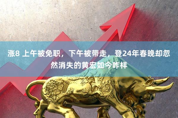 涨8 上午被免职，下午被带走，登24年春晚却忽然消失的黄宏如今咋样