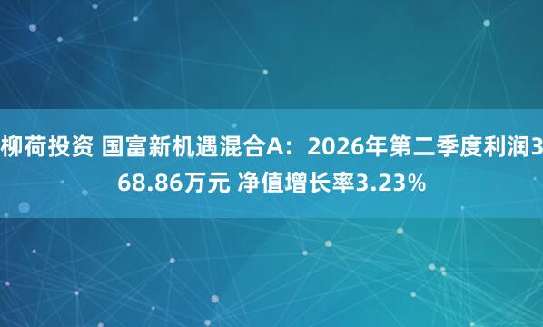 柳荷投资 国富新机遇混合A：2026年第二季度利润368.86万元 净值增长率3.23%