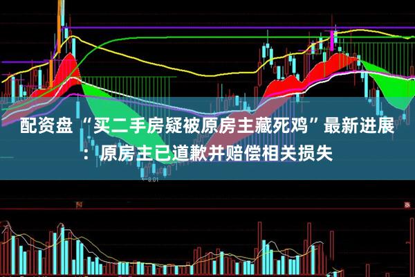 配资盘 “买二手房疑被原房主藏死鸡”最新进展：原房主已道歉并赔偿相关损失