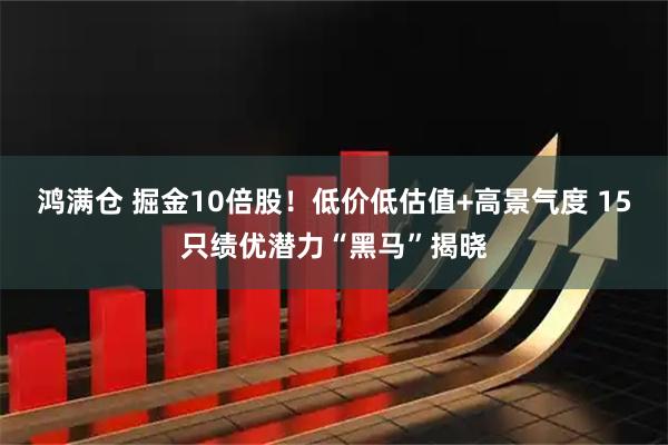 鸿满仓 掘金10倍股！低价低估值+高景气度 15只绩优潜力“黑马”揭晓
