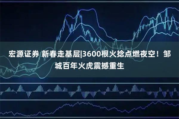 宏源证券 新春走基层|3600根火捻点燃夜空！邹城百年火虎震撼重生