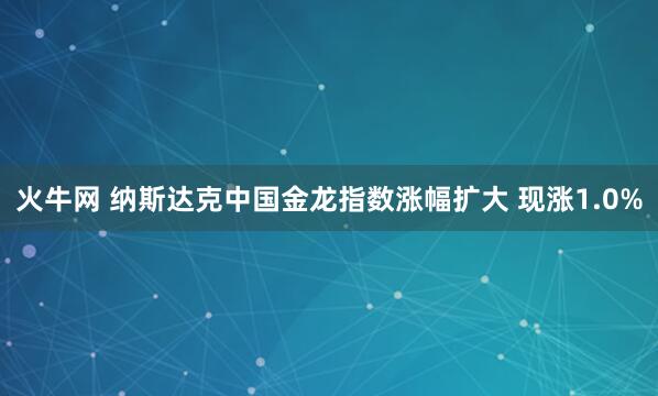 火牛网 纳斯达克中国金龙指数涨幅扩大 现涨1.0%