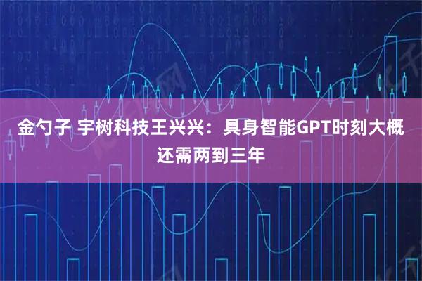 金勺子 宇树科技王兴兴：具身智能GPT时刻大概还需两到三年