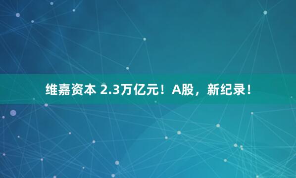维嘉资本 2.3万亿元!A股,新纪录!