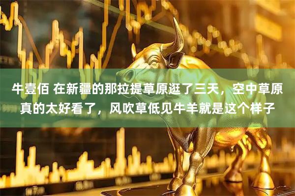 牛壹佰 在新疆的那拉提草原逛了三天,空中草原真的太好看了,风吹草低见牛羊就是这个样子