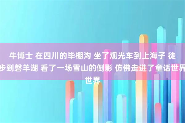 牛博士 在四川的毕棚沟 坐了观光车到上海子 徒步到磐羊湖 看了一场雪山的倒影 仿佛走进了童话世界