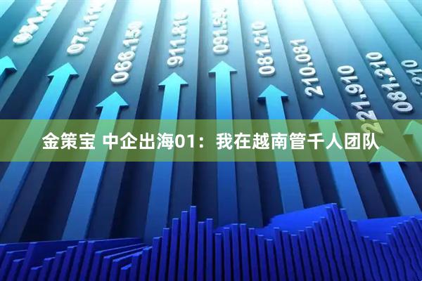 金策宝 中企出海01：我在越南管千人团队