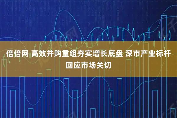 倍倍网 高效并购重组夯实增长底盘 深市产业标杆回应市场关切