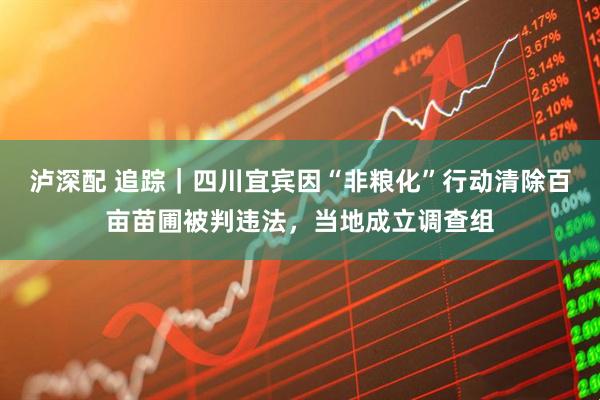 泸深配 追踪｜四川宜宾因“非粮化”行动清除百亩苗圃被判违法，当地成立调查组