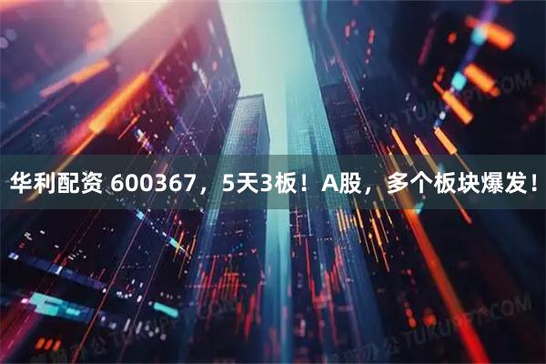 华利配资 600367，5天3板！A股，多个板块爆发！