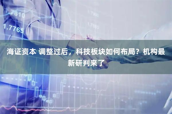 海证资本 调整过后，科技板块如何布局？机构最新研判来了