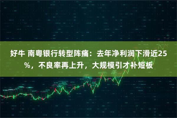 好牛 南粤银行转型阵痛：去年净利润下滑近25%，不良率再上升，大规模引才补短板