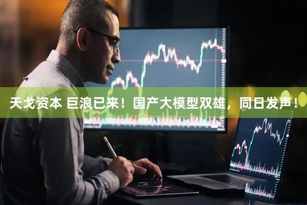 天戈资本 巨浪已来！国产大模型双雄，同日发声！