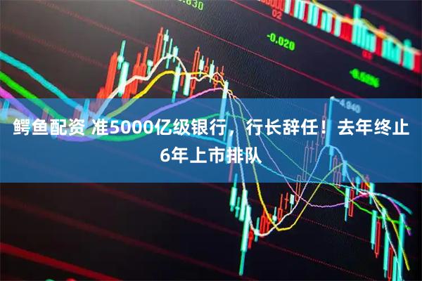 鳄鱼配资 准5000亿级银行，行长辞任！去年终止6年上市排队