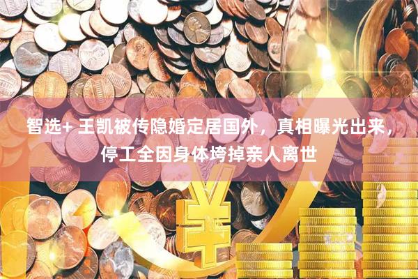 智选+ 王凯被传隐婚定居国外，真相曝光出来，停工全因身体垮掉亲人离世