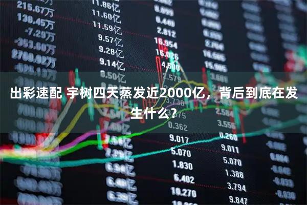 出彩速配 宇树四天蒸发近2000亿，背后到底在发生什么？